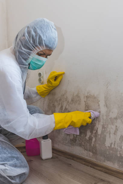 Best Biohazard Mold Removal  in Glenside, PA