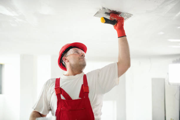 Best Mold-Related Health Consultation  in Glenside, PA
