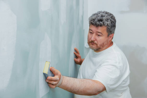 Best Attic Mold Removal  in Glenside, PA