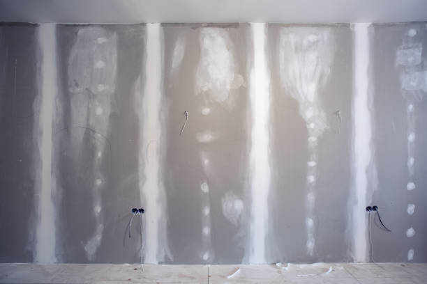 Reliable Glenside, PA Mold Removal Solutions